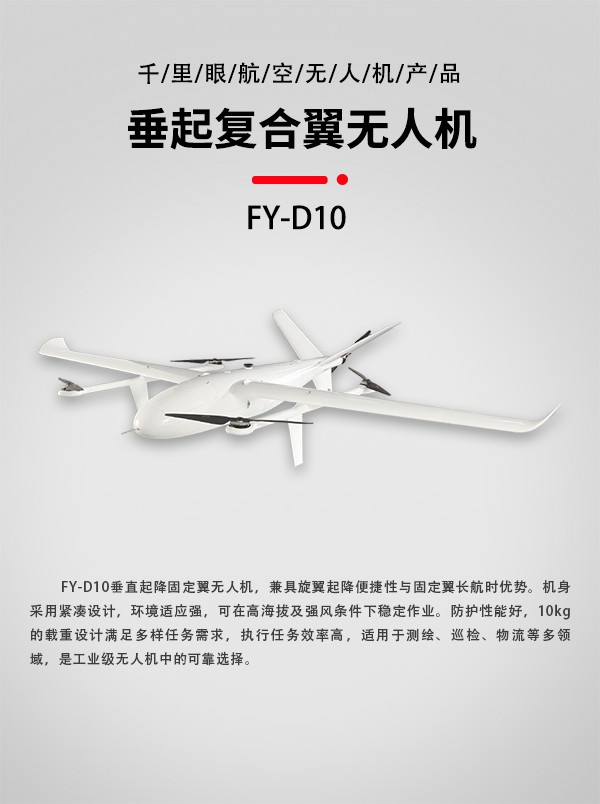 垂直起降固定翼無人機FY-D10型(圖1)
