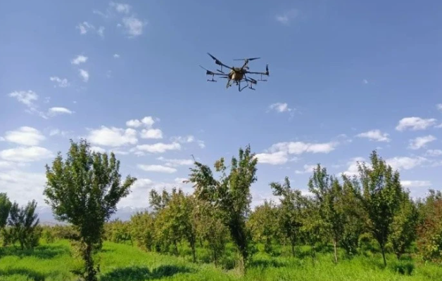 無人機助力山區(qū)產(chǎn)業(yè)增效、果農(nóng)增收(圖1)