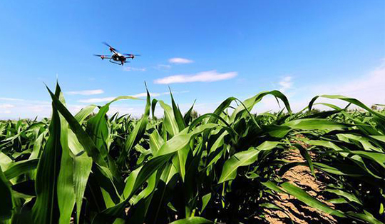 無人機技術(shù)在現(xiàn)代農(nóng)業(yè)領(lǐng)域的應用與發(fā)展(圖5)