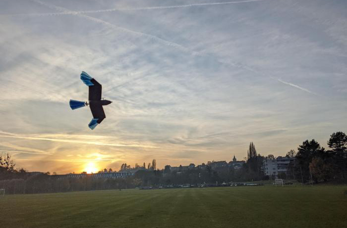 最新研發(fā)鳥型無人機 可在城市森林等密集環(huán)境轉(zhuǎn)彎避障(圖1) 最新研發(fā)鳥型無人機 可在城市森林等密集環(huán)境轉(zhuǎn)彎避障(圖1)