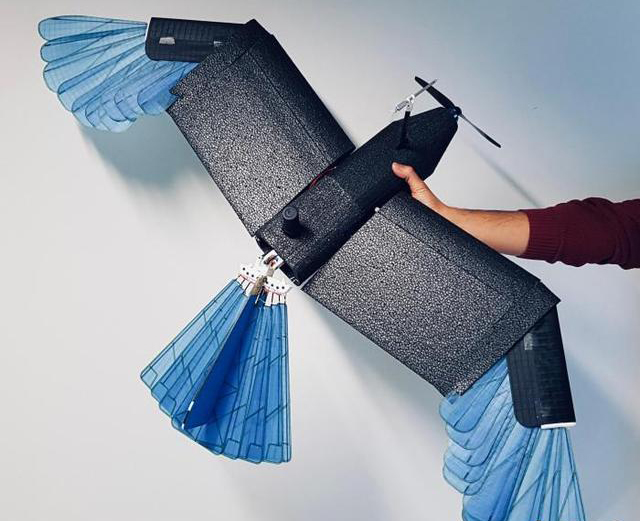 最新研發(fā)鳥型無人機 可在城市森林等密集環(huán)境轉(zhuǎn)彎避障(圖2) 最新研發(fā)鳥型無人機 可在城市森林等密集環(huán)境轉(zhuǎn)彎避障(圖2)