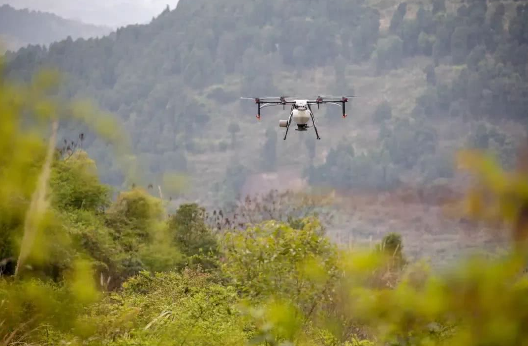 克羅地亞通過無人機播種修復(fù)被大火破壞的森林(圖1) 克羅地亞通過無人機播種修復(fù)被大火破壞的森林(圖1)